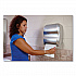 Tear-N-Dry Touchless Roll Towel Dispenser, 16.75 x 10 x 12.5, Silver (T1370SS)