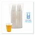 Translucent Plastic Cold Cups, 10 oz, 100/Pack (TRANSCUP10PK)