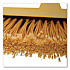 Angler Broom, 53