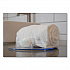 Soap Bar, Clean Scent, 0.35 oz, 1,000/Carton (SPOAS101709)
