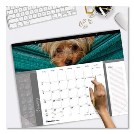 Blueline Pets Collection Monthly Desk Pad, Puppies Photography, 22 x 17, Black Binding, Clear Corners, 12-Month (Jan to Dec): 2022 (C194116)