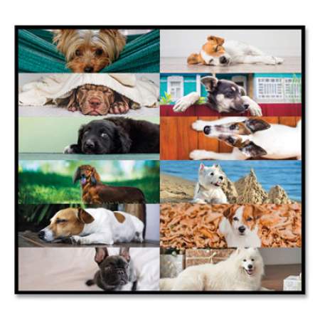 Blueline Pets Collection Monthly Desk Pad, Puppies Photography, 22 x 17, Black Binding, Clear Corners, 12-Month (Jan to Dec): 2022 (C194116)