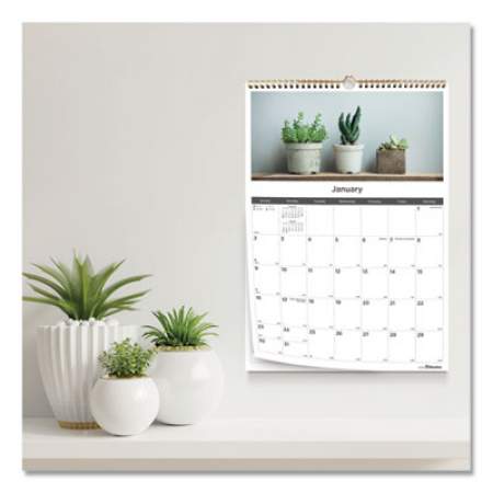 Blueline 12-Month Wall Calendar, Succulent Plants Photography, 12 x 17, White/Multicolor Sheets, 12-Month (Jan to Dec): 2022 (C173121)