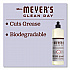Dish Soap, Lavender Scent, 16 oz Bottle, 6/Carton (370041)