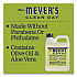 Clean Day Liquid Hand Soap Refill, Lemon Verbena Scent, 33 oz (373219EA)