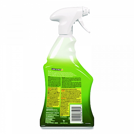 Lime, Calcium and Rust Remover, 22 oz Spray Bottle (87103)