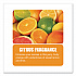 PHENO D+ Aerosol Disinfectant/Deodorizer, Citrus Scent, 16.5 oz Aerosol Spray Can, 12/Carton (33700)