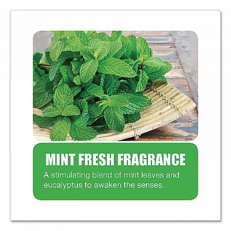 Enzym D Digester Deodorant, Mint, 1 gal, Bottle, 4/Carton (1504)