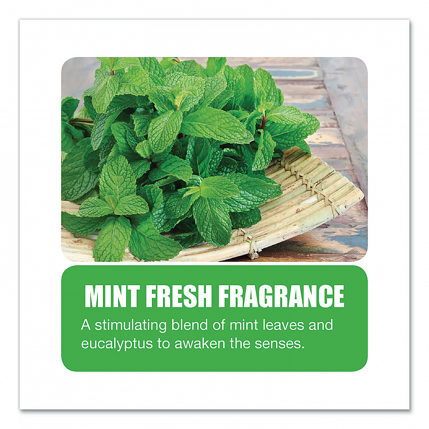 Enzym D Digester Deodorant, Mint, 1 gal, Bottle, 4/Carton (1504)