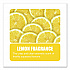Enzym D Digester Liquid Deodorant, Lemon, 1 gal Bottle, 4/Carton (1500)