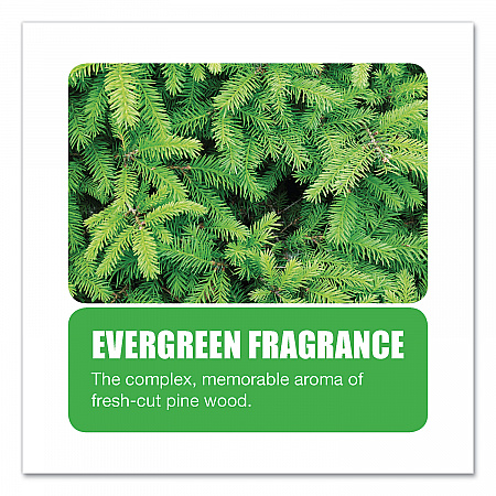 Non-Para Toilet Bowl Block, Lasts 30 Days, Evergreen Scent, White, 12/Box (661)