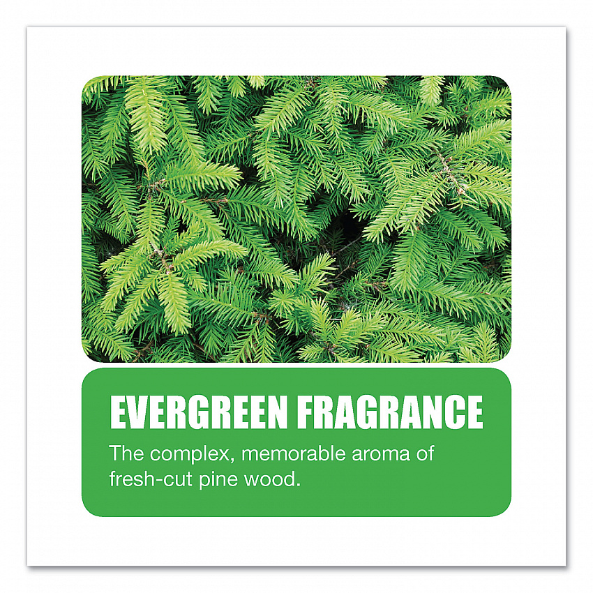 Non-Para Toilet Bowl Block, Lasts 30 Days, Evergreen Scent, White, 12/Box (661)