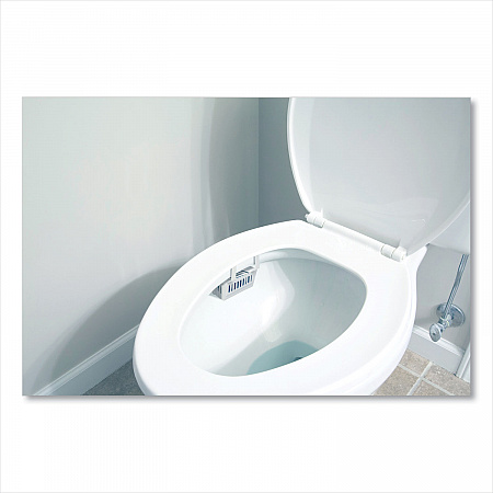 Non-Para Toilet Bowl Block, Lasts 30 Days, Evergreen Scent, White, 12/Box (661)