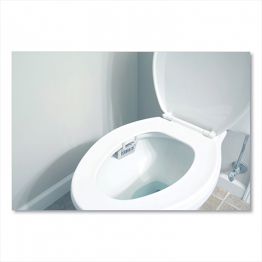 Non-Para Toilet Bowl Block, Lasts 30 Days, Evergreen Scent, White, 12/Box (661)