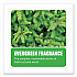 Extra Duty Urinal Screen with Non-Para Block, Evergreen with Enzymes Scent, White, Dozen (660)