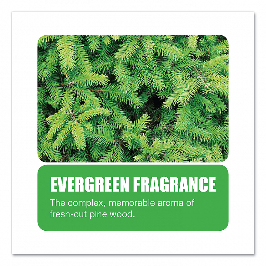 Extra Duty Urinal Screen with Non-Para Block, Evergreen with Enzymes Scent, White, Dozen (660)