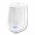 Extra Duty Urinal Screen with Non-Para Block, Evergreen with Enzymes Scent, White, Dozen (660)