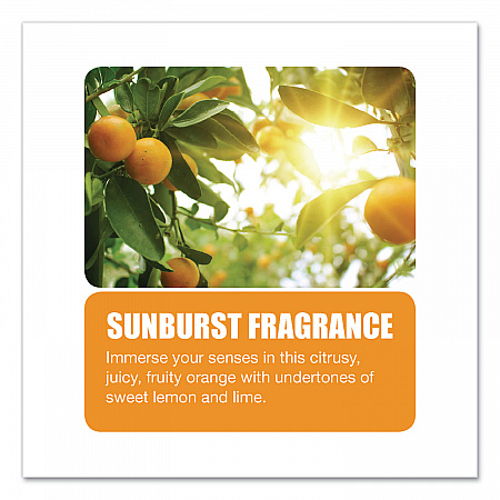 Aerosol Room Deodorant, Sunburst, 15 oz Can, 12/Carton (351)