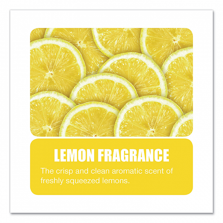 Granular Deodorant, Lemon, 16 oz, Shaker Can, 12/Carton (150)