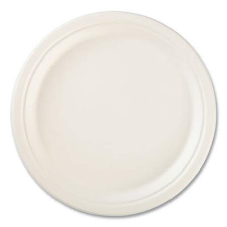 Hefty ECOSAVETableware, Plate, Bagasse, 10.13" dia, White,  16/Pack (D71016PK)
