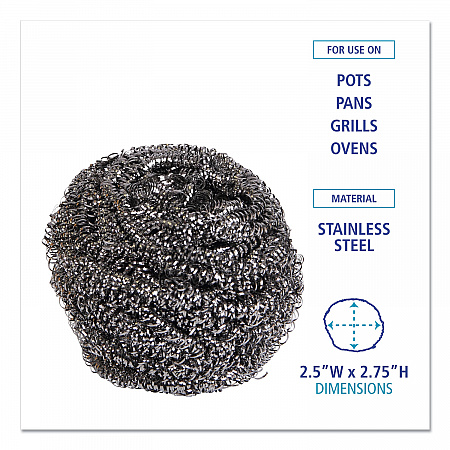 Stainless Steel Scrubber, Large Size, 2.5 x 2.75, Steel Gray, 12/Carton (50)