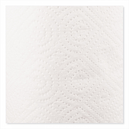 Kitchen Roll Towels, 2-Ply, 11 x 8.5, White, 85/Roll (122085RL)