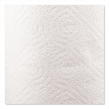 Kitchen Roll Towels, 2-Ply, 11 x 8.8, White, 100/Roll (1220RL)