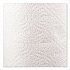 Kitchen Roll Towels, 2-Ply, 11 x 8.8, White, 100/Roll (1220RL)