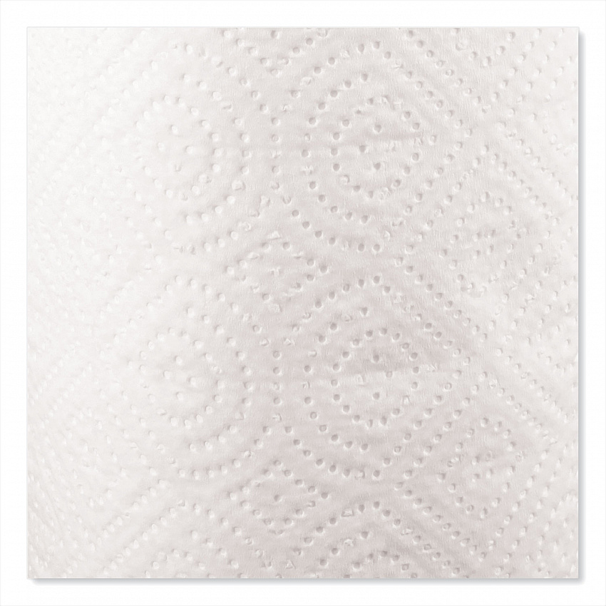 Kitchen Roll Towels, 2-Ply, 11 x 8.8, White, 100/Roll (1220RL)