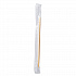 Cello-Wrapped Round Wood Toothpicks, Mint, 2.5