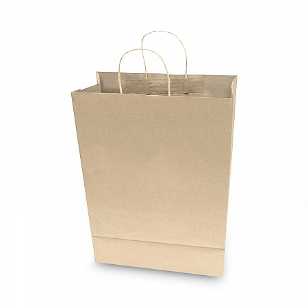 Premium Shopping Bag, Rope Handles, 12