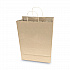 Premium Shopping Bag, Rope Handles, 12