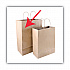 Premium Shopping Bag, Rope Handles, 12