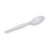 Dixie Plastic Cutlery, Heavy Mediumweight Teaspoons, White, 1,000 Carton (TM207CT)