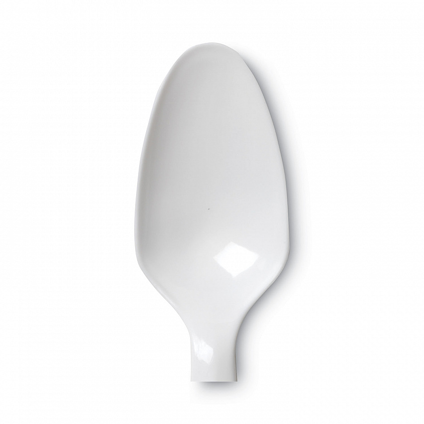 Plastic Cutlery, Mediumweight Spoon, White, 1,000/Carton (PTM21)