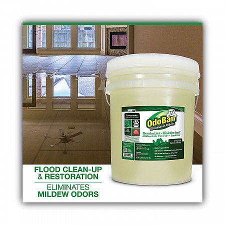 Concentrated Odor Eliminator and Disinfectant, Eucalyptus, 5 gal Pail (9110625G)