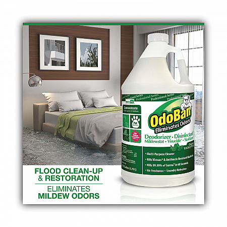 Concentrated Odor Eliminator, Eucalyptus, 1 gal Bottle, 4/Carton (911062G4)
