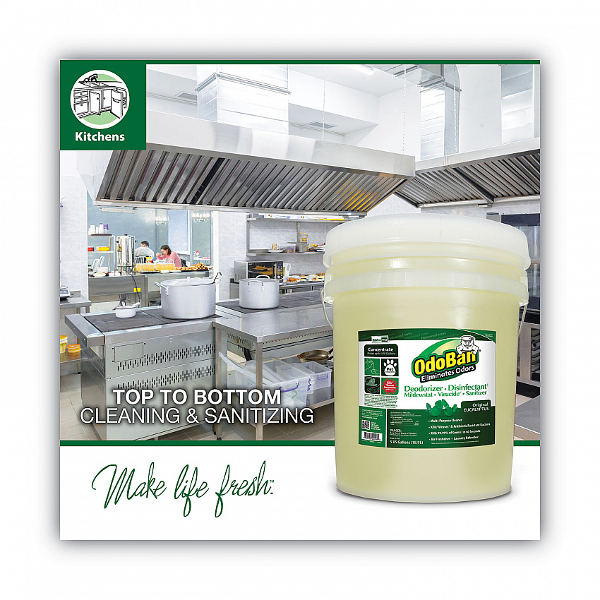 Concentrated Odor Eliminator and Disinfectant, Eucalyptus, 5 gal Pail (9110625G)