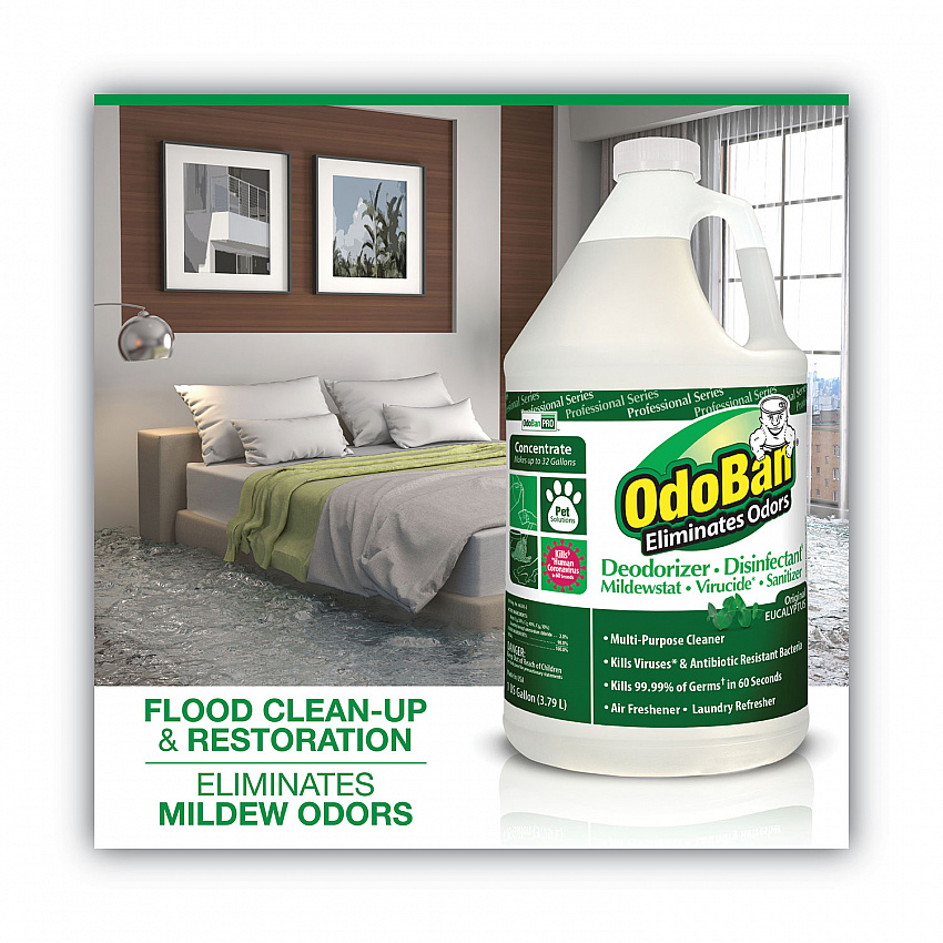 Concentrated Odor Eliminator and Disinfectant, Eucalyptus, 1 gal Bottle (911062G4EA)