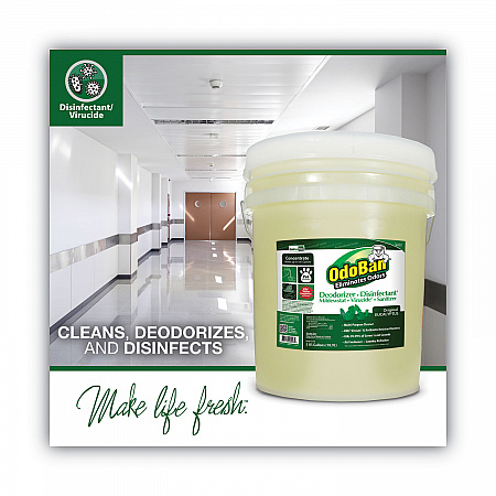 Concentrated Odor Eliminator and Disinfectant, Eucalyptus, 5 gal Pail (9110625G)