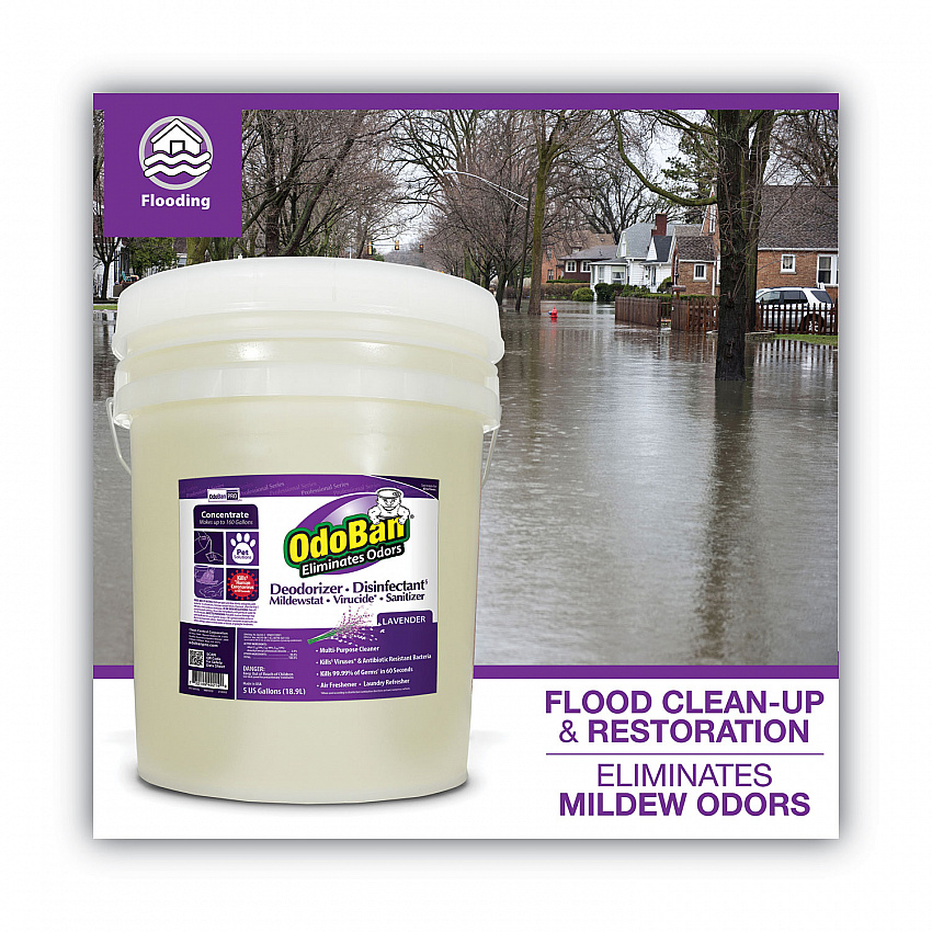 Concentrated Odor Eliminator and Disinfectant, Lavender, 5 gal Pail (9111625G)