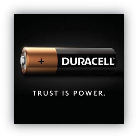 Duracell Rechargeable StayCharged NiMH Batteries, AAA, 2/Pack (NLAAA2BCD)