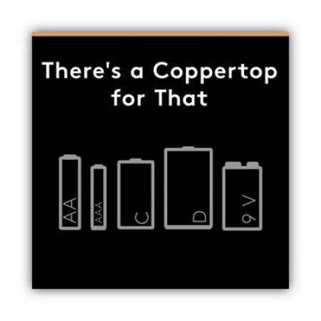 Duracell CopperTop Alkaline 9V Batteries, 12/Box (MN1604BKD)