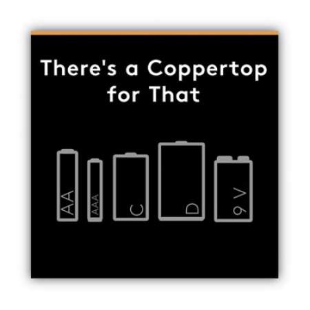 Duracell CopperTop Alkaline AA Batteries, 8/Pack (MN1500B8Z)