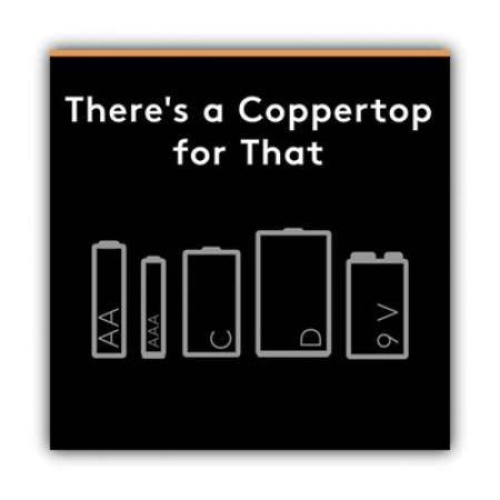 Duracell CopperTop Alkaline AAA Batteries, 20/Pack (MN2400B20Z)