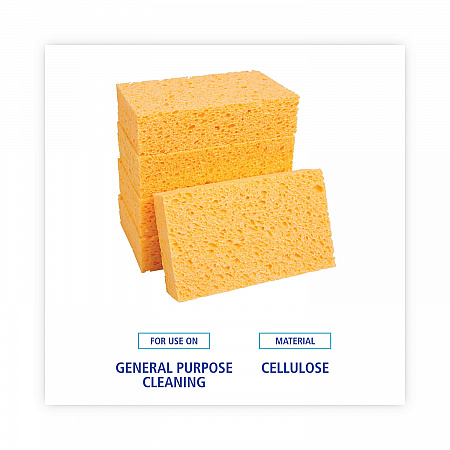 Medium Cellulose Sponge, 3.67 x 6.08, 1.55