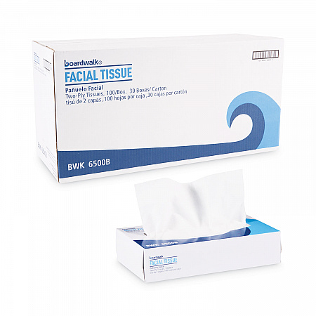 Office Packs Facial Tissue, Flat Box, 2-Ply, White, 100 Sheets/Box, 30 Boxes/Carton (6500B)