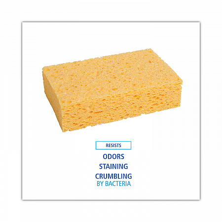 Medium Cellulose Sponge, 3.67 x 6.08, 1.55