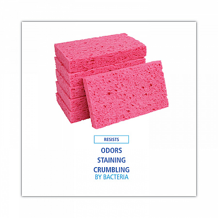 Small Cellulose Sponge, 3.6 x 6.5, 0.9