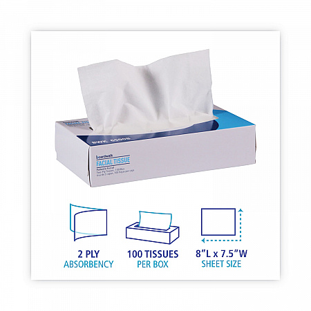 Office Packs Facial Tissue, Flat Box, 2-Ply, White, 100 Sheets/Box, 30 Boxes/Carton (6500B)
